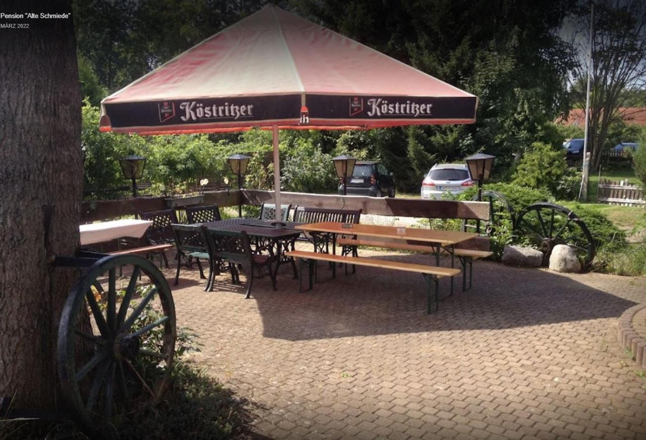 Pension Alte Schmiede Greifswald Exterior photo